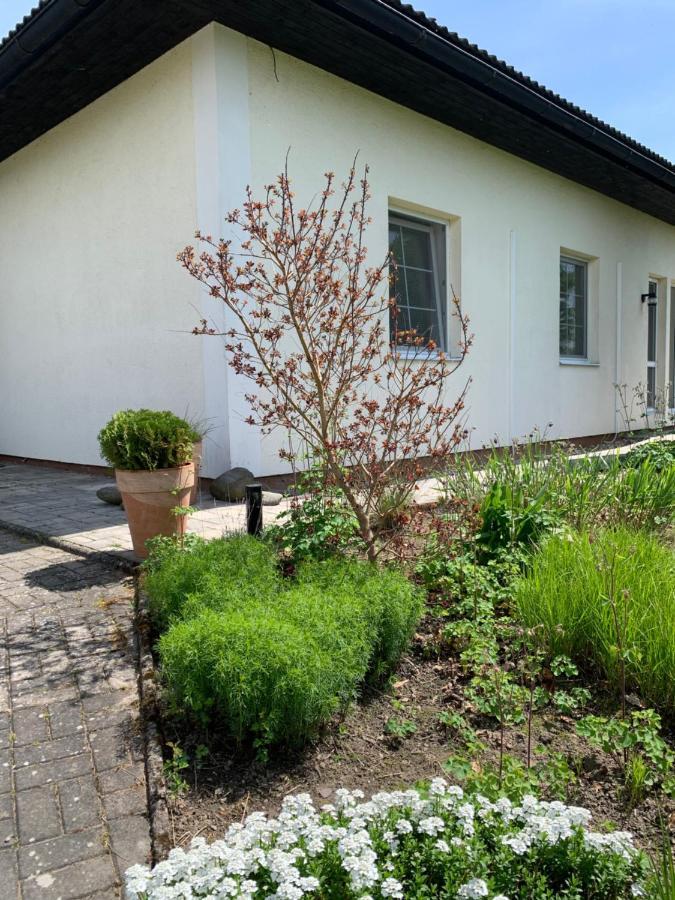 Studiový apartmán V Zahradě Police nad Metují Exterior foto