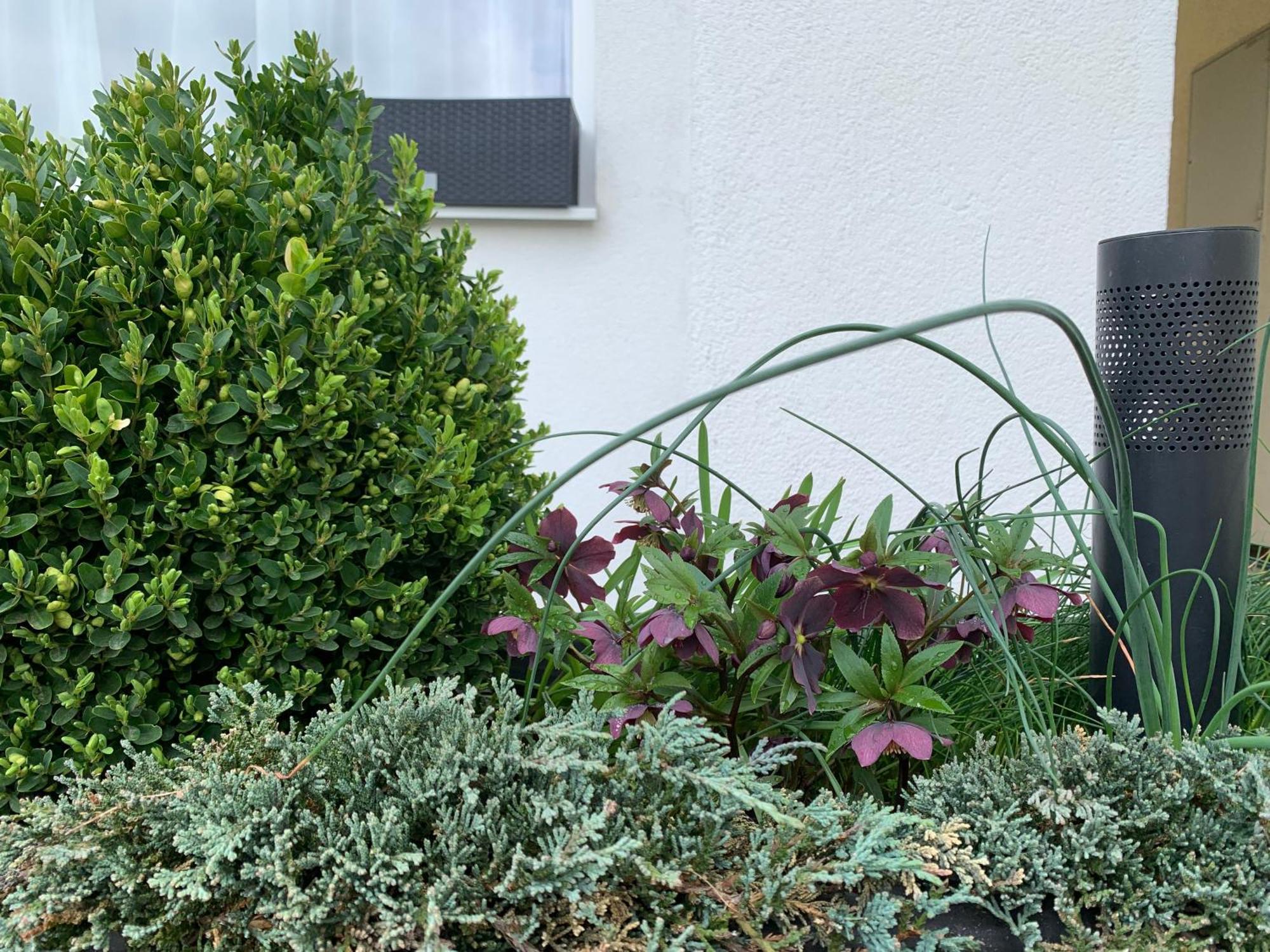 Studiový apartmán V Zahradě Police nad Metují Exterior foto